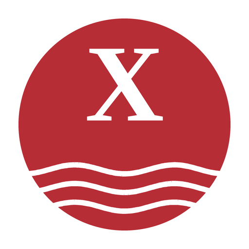 Xoloitzcuintles